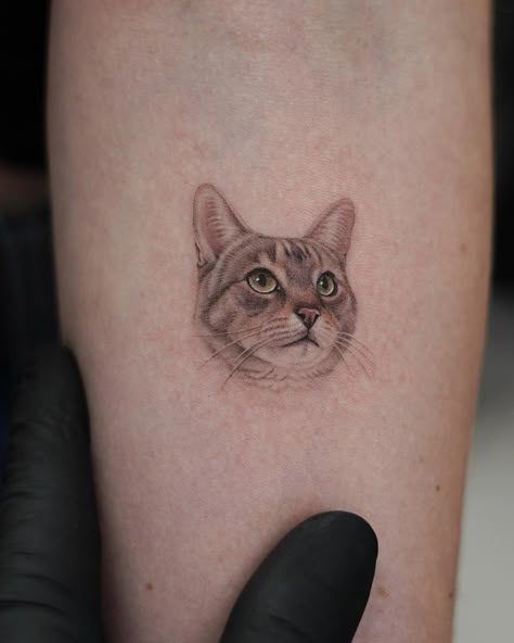 Manx Cat Tattoo, Cat Portrait Tattoo Designs, Detailed Cat Tattoo, Small Cat Portrait Tattoo, Simple Cat Portrait Tattoo, Micro Pet Portrait Tattoos, Pet Face Tattoo, Feminine Cat Tattoos, Creative Cat Tattoo