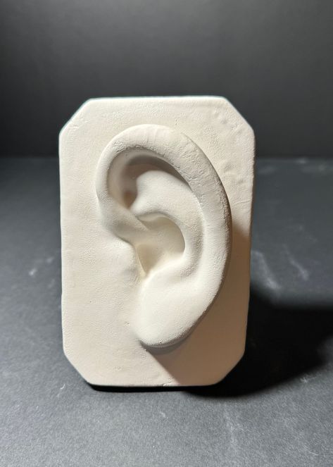 Lifelike Ear Replica for Cast Drawing - Realistic Sculpture for Art Students https://fromthemold.com/products/lifelike-ear-replica-for-cast-drawing-realistic-sculpture-for-art-students From the Mold #Bestseller Cast Drawing, Realistic Sculpture, Drawing Sculpture, Human Ear, Cast Art, Ear Art, Plaster Cast, Handmade Sculpture, Plaster Sculpture