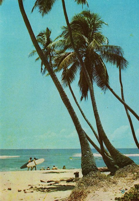 Vintage Beach Postcard, Vintage Tropical, Vintage Tropical Aesthetic, Vintage Postcards Travel, Vintage Surf, Bossa Nova, Tropical Vibes, Beach Aesthetic, Vintage Summer