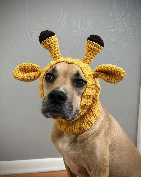 Giraffe Dog Snood Crochet Dog Costume | MakerPlace by Michaels Dog Snoods Crochet Pattern, Crochet Pet Stuff, Crochet Dog Halloween Costume, Crochet Dog Outfit, Dog Snood Crochet Pattern, Crochet Dog Costume, Crochet Pet Accessories, Snood Crochet Pattern, Crochet Dog Accessories