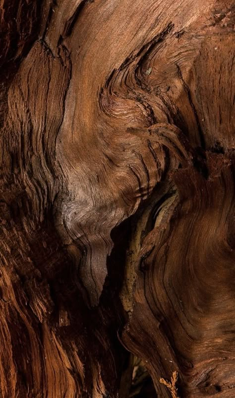 Earth Brown Aesthetic, Wood Texture Aesthetic, Brown Earth Aesthetic, Wood Background Aesthetic, Wood Aesthetic Wallpaper, Woody Aesthetic, Earthy Moodboard, Mocha Aesthetic, Earth Texture