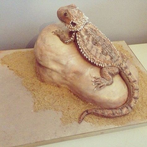 - Bearded dragon cake Reptile Cake, Lizard Cake, Cakes Animals, Cake Tricks, Fancy Sweets, Baby Elephant Cake, Bearded Dragon Food, Dragon Cakes, Reptile Party