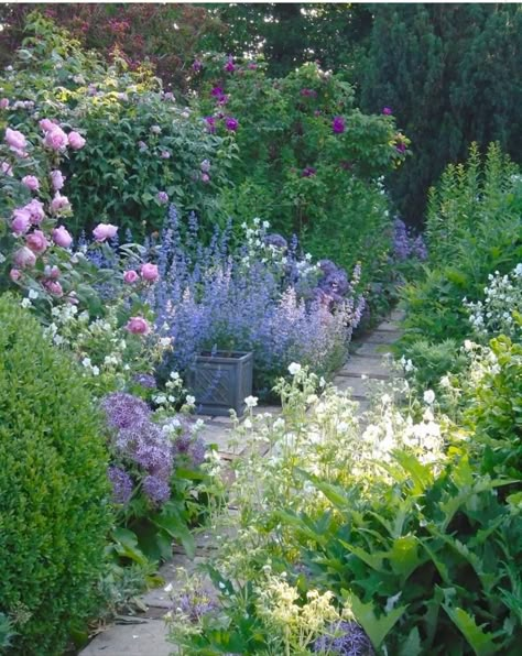 Uk Native Garden Plants, Uk Cottage Garden, French Garden Ideas Provence France, French Backyard, English Style Garden, Small English Garden, Making A Garden, Front Garden Landscape, Cottage Garden Design