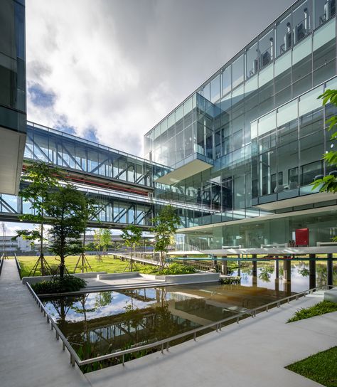 Gallery of IRPC Innovation Center / Architects 49 - 7 Innovation Centre Architecture, Tropical Climate Architecture, Innovation Center Design, Leisure Center Architecture, Innovation Hub Architecture, Resource Center Design, Innovation Center Architecture, Transportation Hub Architecture, Exhibition Center Architecture