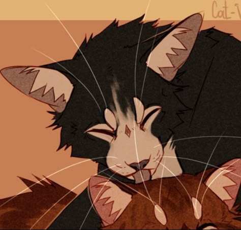 Cat Drawing Halloween, Cat Drawing Cute, Warrior Cat Drawings, Warrior Cats Art, Warrior Cats, Cat Drawing, Matching Pfp, Matching Icons