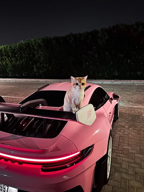 fast car kitty Sports Car Art, Girly Sports Cars, Girl Cars Aesthetic, Car Aesthetic Exterior, Pink Cars Aesthetic, Pink Car Wallpaper, Sport Car Aesthetic, Pink Sports Cars, Pink Car Aesthetic