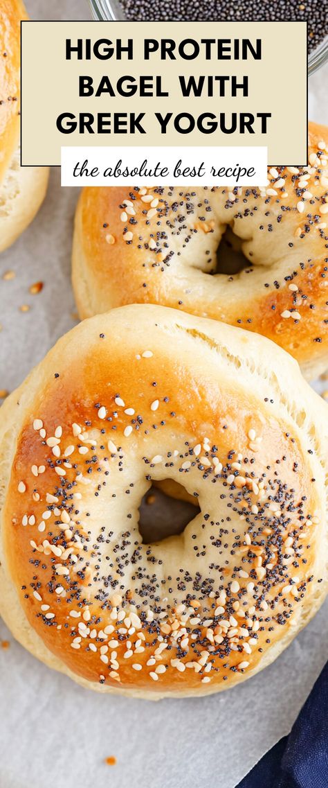 Image for High Protein Bagel with Greek Yogurt Jalapeño Cheddar Greek Yogurt Bagels, Greek Yogurt Cookie Recipes, Breakfast With Greek Yogurt, Bagels With Greek Yogurt, High Protein Bagel Recipe, Baked Greek Yogurt, High Protein Bagels, Keto Recipes With Greek Yogurt, Protein Bagels With Greek Yogurt