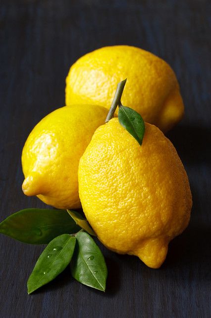 Lemon. | Beautiful fresh lemons with leaves on a dark blue b… | Flickr Art Reference Fruit, Lemon Reference Photo, Still Life Inspiration Photography, Still Life Reference Photos For Artists Easy, Plant Reference Photos, Still Life Reference Photos For Artists, Still Life Drawing Reference, Vegetable Photos, Still Life Reference Photos