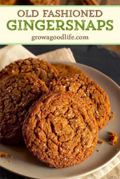 Ginger Snap Molasses Cookies, Crumbl Cookie Copycat Gingersnap, Best Gingersnap Cookie Recipe, Best Ginger Cookies Recipe, Recipes Using Ginger Paste, Fresh Ginger Cookies Recipe, Homemade Ginger Snaps, Ginger Snap Cookies Without Molasses, Ginger Snaps Cookies Recipe