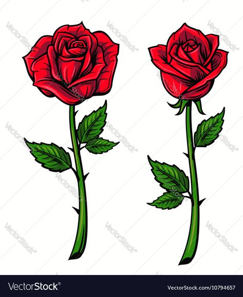 Red Rose Drawing, Rose Cartoon, Rosé Cartoon, Tattoo Banner, Cartoon Rose, Rose Drawing, Roses Drawing, Free Cartoons, Ruby Rose