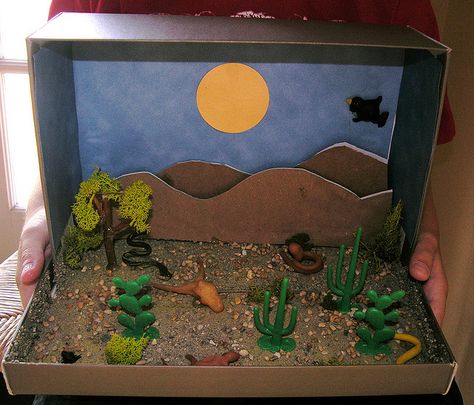 Cute shoe box diorama made with some sand (found at hobby stores), paper (craft stores), and fake trees/bushes (also found at hobby stores) Ecosystems Diorama, Shoe Box Diorama, Desert Crafts, Biomes Project, Desert Diorama, Diorama Kids, Ecosystems Projects, Shoe Box Crafts, Desert Biome