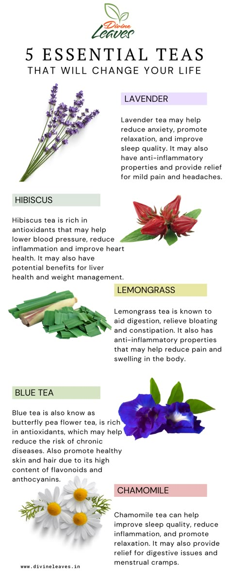 herbal tea, flower tea, lavender tea, hibiscus tea, chamomile tea, blue tea, lemongrass tea Chinese Herbal Tea Recipe, Benefits Of Lemongrass Tea, Herb Tea Recipes, Lemon Grass Tea Benefits, Lavender Tea Benefits, Substitute For Sugar, Elderflower Tea, Herbal Tea Recipes, Herbal Tea Benefits