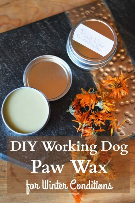 DiY paw wax keeps the ice from forming on the bottom of your dog's paws and protects the dog's paw from winter injury's resulting from cold and dryness. Dog Paw Wax, Dog Paw Balm, Paw Wax, Dogs Paw, Dog Remedies, Paw Balm, Dog Diy, Working Dog, Dog Projects