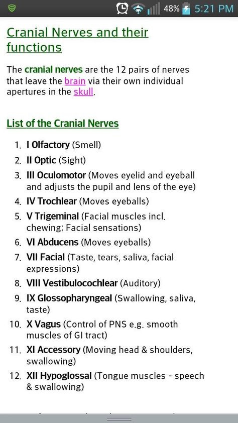 12 Cranial Nerves, Medical Terminology Study, Nursing School Essential, Nursing School Motivation, Nurse Study Notes, Basic Anatomy And Physiology, Nursing Mnemonics, Nursing Student Tips, Biology Facts