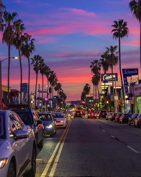 LOS ANGELES | Travel community’s Instagram profile post: “✨Some cotton candy for your Thursday... 👋🏻🍬🌴✨ Post by 📸 @lenafound 😍 ✨ ✈Mark your photo with tag #losangelesworld and we`ll post it! ✨ #LA…” Los Angeles Sunset, Los Angeles Wallpaper, Los Angeles Aesthetic, Los Angeles Hollywood, Sunset Boulevard, Los Angeles Travel, California Vibe, West Hollywood California, Los Angeles City