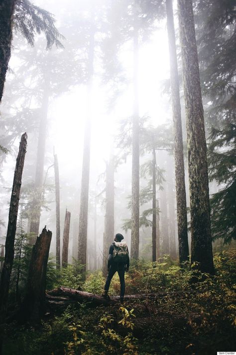 These Mind-Blowing And Humbling Instagram Photos Will Remind You Of Earths Wild Beauty Explore Oregon, Hiking Photography, Creative Photography Techniques, Wild Beauty, Outdoor Portraits, Adventure Photography, Forest Photography, Trik Fotografi, Photography Poses For Men