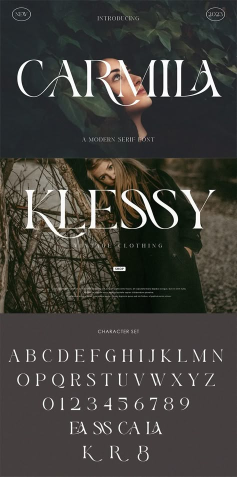 Modern Serif Free Font Free Modern Fonts For Commercial Use, Edgy Canva Fonts, Modern Serif Typeface, Fonts In Canva Free, Best Fonts In Canva, Fonts For Procreate, Urdu Fonts, Canva Fonts Free, Canva Free Fonts