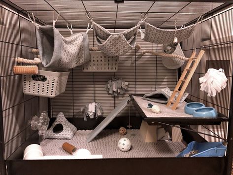 Pet Rat Play Area, Big Rat Cage, Rat Enclosure Ideas Diy, Cool Rat Cages, Pet Rat Cages Aesthetic, Rat Cage Set Up Ideas, Dumbo Rat Cage, Rat Ideas Diy, Pet Rat Cage Setup