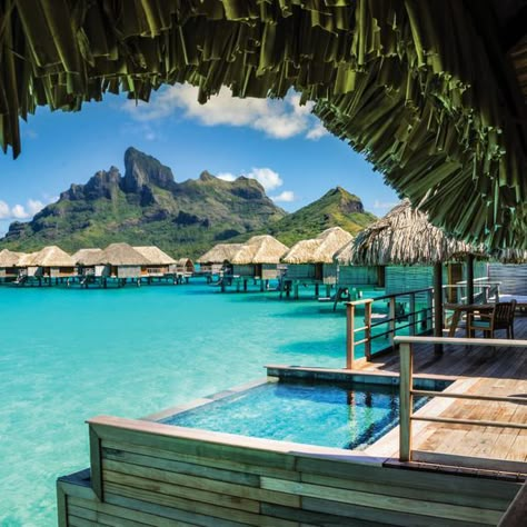 Honeymoon Destinations All Inclusive, Aloita Resort, Best Vacations For Couples, Roadtrip Tips, Tropical Honeymoon Destinations, Fiji Honeymoon, Bungalow Resorts, Bora Bora Honeymoon, Bora Bora Resorts