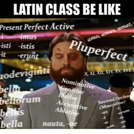 Ecce Romani, Grammar Memes, Latina Culture, Latin Grammar, Language Jokes, Teaching Latin, Latin Quotes, Latin Language, Are You Not Entertained