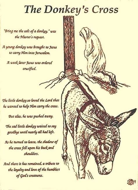 Jesus On Donkey, Donkey Pictures, Touching Poems, Donkey Drawing, Bible Messages, Cross Drawing, Christian Drawings, Mini Donkey, Catholic Beliefs