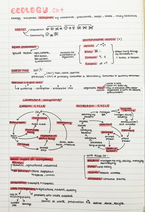 #biology #neatnotes #ecology #aestheticnotes #neathandwriting Ecosystem Biology Notes, Biology Revision Gcse Ecology, Biology Notes Ecology, Ecology Notes College, Biology Ecology Notes, Population Ecology Notes, Environmental Studies Notes, Ecology Study Notes, Ecology Revision