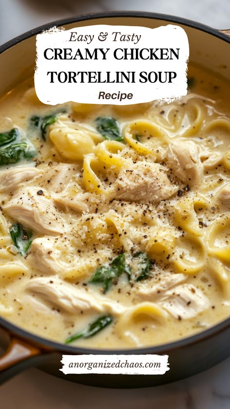 Creamy Chicken Tortellini Soup Serving Soup Ideas, Tortillnie Soup, Six Sisters Tomato Tortellini Soup, Tortellini Recipes Easy Crock Pot, Soups Using Tortellini, Chicken Tortellini Soup Recipes Crockpot, Chicken Noodle Soup With Tortellini, Chicken Soup With Cheese Tortellini, Creamy Cheesy Tortellini Soup