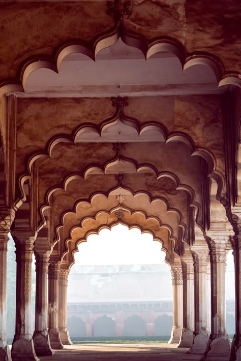 Rajasthan Fort, India Architecture, Valley Of Flowers, Agra Fort, Mughal Architecture, Story Teller, Mughal Empire, History Of India, Cultural Architecture