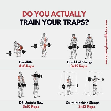 Workout For Traps, Trap Muscle Workout, Trap Excersises, Mid Trap Exercises, Trapizeus Muscle Workout, Trap Exercises For Women, Trap Workout Women, Lower Trap Exercises, Traps Exercises