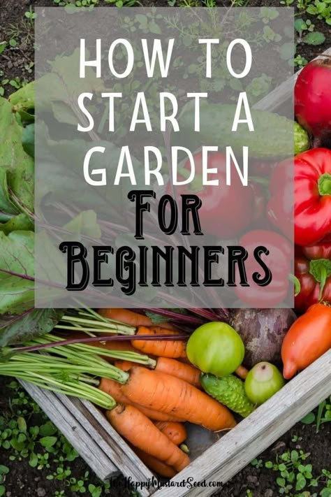 Start A Garden For Beginners, Shed Inspiration, Start A Vegetable Garden, Garden For Beginners, Start A Garden, A Lot Of Food, Vegetable Garden Planner, Vegetable Garden For Beginners, Starting A Vegetable Garden