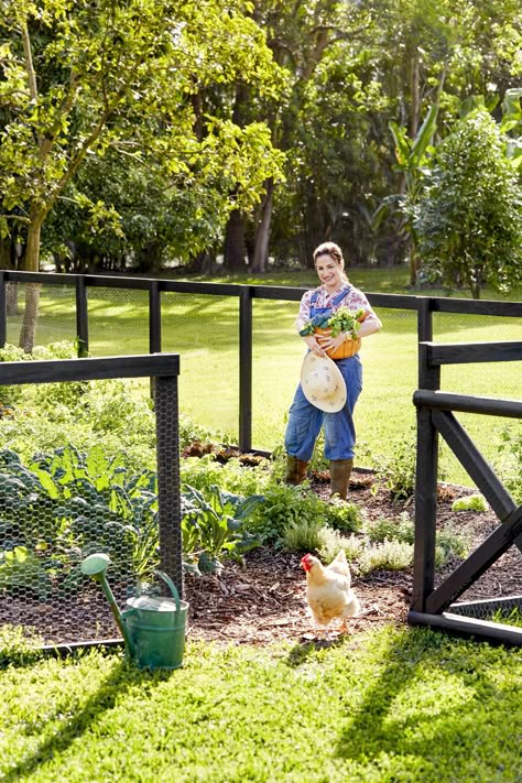 Fenced Vegetable Garden, Vege Garden, Black Fence, Backyard Layout, Lattice Fence, Garden Wallpaper, Veg Garden, Farm Garden, Farm Ideas