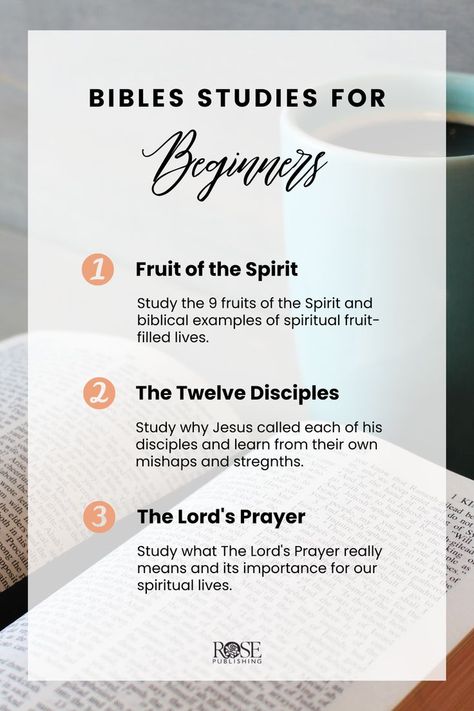 Our Top 3 Bible Studies for Beginners | From Rose Visiaul Bible Studies Are you looking to study the Bible as a beginner? These are great Bible studies for beginners because they are easy-to-understand and easy-to-use. Find more topics at the link below. Bible For Beginners, Bible Study For Beginners, Charts For Classroom, Easy Bible Study, Bible Charts, Bible Journaling For Beginners, Bible Studies For Beginners, Study The Bible, Personal Bible Study