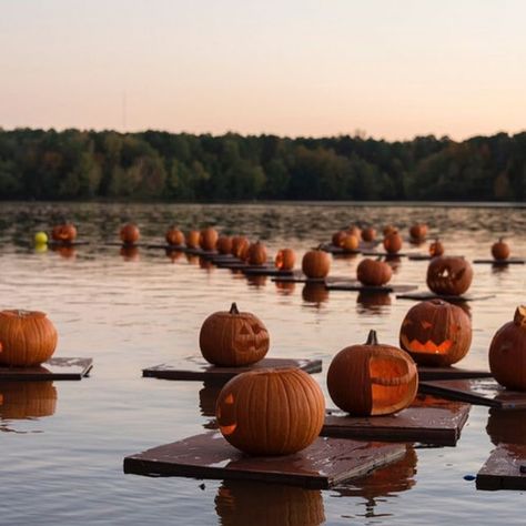 Ashville North Carolina, Carve A Pumpkin, Concord North Carolina, Visit North Carolina, Winston Salem North Carolina, Bald Cypress, Fall Festivals, North Carolina Travel, Nc Mountains