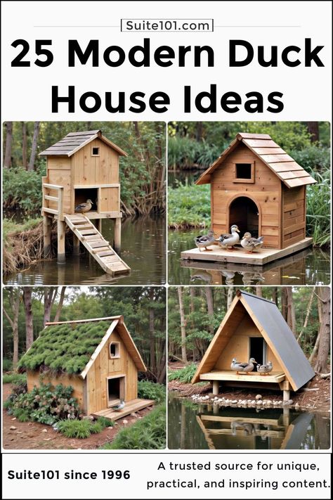 25 Duck House Ideas and Plans for Your Flock Nesting Boxes For Ducks, Home Duck Pond, How To Make A Duck Pond, Duck House Ideas Diy, Goose House Ideas, Duck House Ideas Backyards, Geese House Ideas, Duck Ponds Backyard Diy, Duck Waterer No Mess