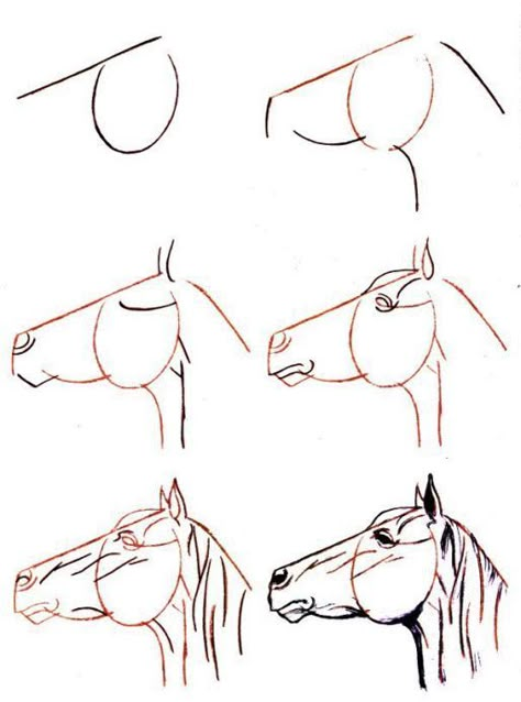 Covalo passo a passo How To Draw A Horse Face Step By Step, Accursed Cultists, Horse Drawing Tutorial, Horse Art Drawing, Horse Sketch, Horse Drawings, Horse Drawing, Animal Sketches, Realistic Drawings