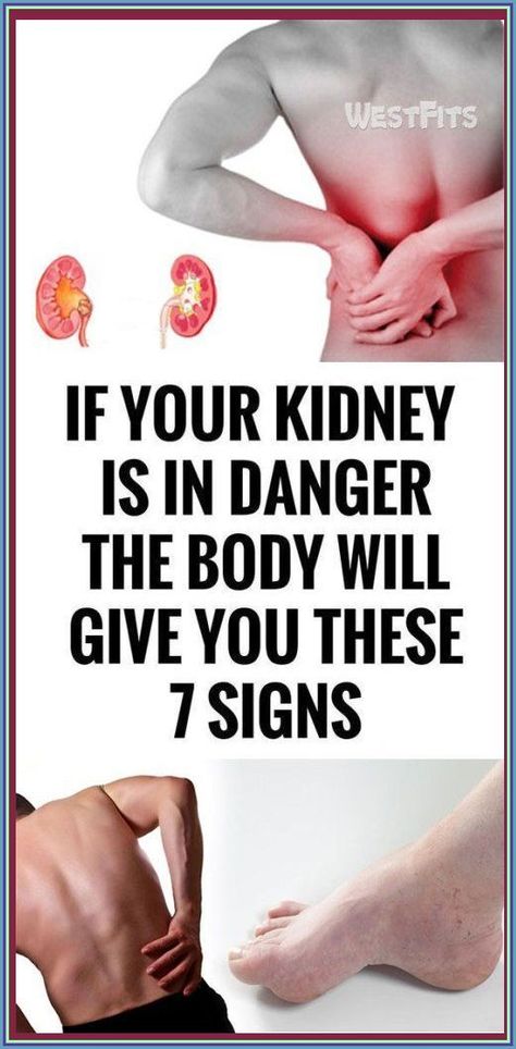 For your health, the kidneys are essential because they detoxify and cleanse the body by filtering 10-150 quarts of blood in a day. Their location is under the rib cage. Their function is to elimin Coconut Health, School Communication, Creating A Newsletter, Kidney Health, What Happened To You, Stubborn Belly Fat, Health Remedies, Health Problems, The Body