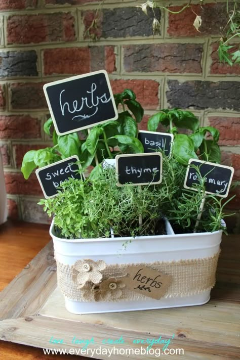 Patio Herb Garden, Utensil Caddy, Diy Herb Garden, Types Of Herbs, Herb Gardening, Kitchen Herbs, Indoor Herb Garden, Herbs Indoors, Growing Herbs