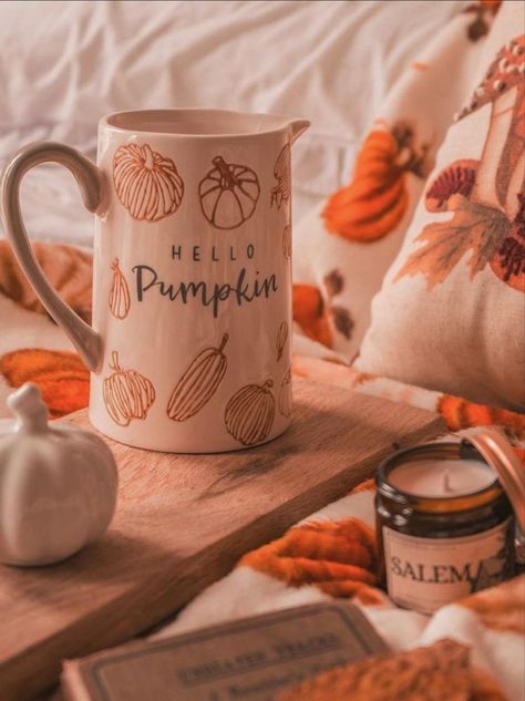 Pumpkin Patch Pictures, Recetas Halloween, Halloween Breakfast, Pumpkin Wallpaper, 1st September, Fall Faves, Halloween Love, Halloween Everyday, Chic Halloween