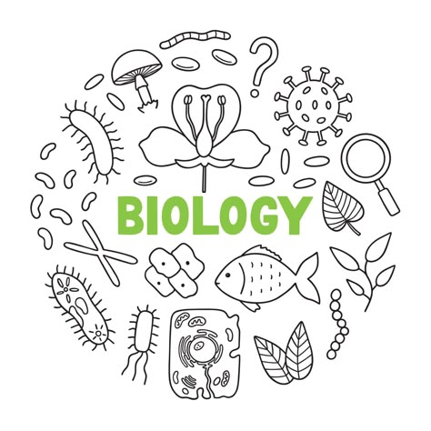 Biology Doodles Aesthetic, Biology Sketches Drawings, Biology Drawing Ideas Easy, Science Doodles Biology, Biology Doodle Art, School Book Covers Biology, Biology Background Design, Biology Practical File Cover, Biology Art Draw