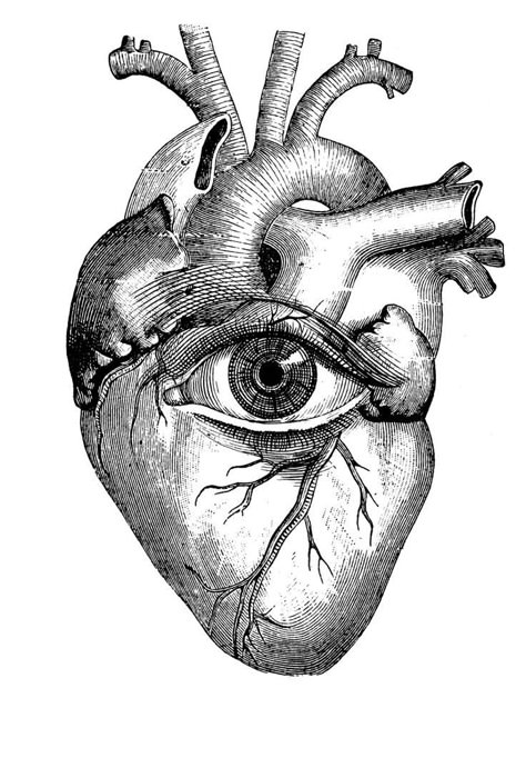 corazon Tato Joker, Anatomical Heart Drawing, Human Heart Drawing, Heart Drawing, Desenho Tattoo, Human Heart, Eye Tattoo, All Seeing, Anatomy Art