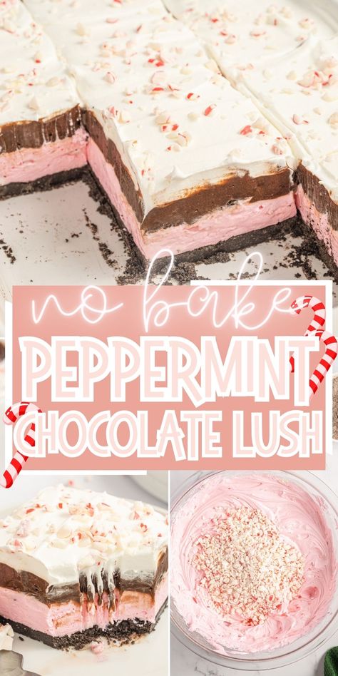 Chocolate Peppermint Lush dessert has an Oreo cookie crust, peppermint cheesecake layer, a chocolate pudding layer, and finished with whipped cream. It's the perfect no bake Christmas dessert to enjoy this holiday season. No Bake Chocolate Peppermint Lasagna, Peppermint Delight Dessert, Peppermint Layered Dessert, Lush Cake Recipes, Peppermint Ice Box Cake, Non Bake Christmas Desserts, Frozen Peppermint Dessert, Oreo Peppermint Dessert, Peppermint Dream Dessert