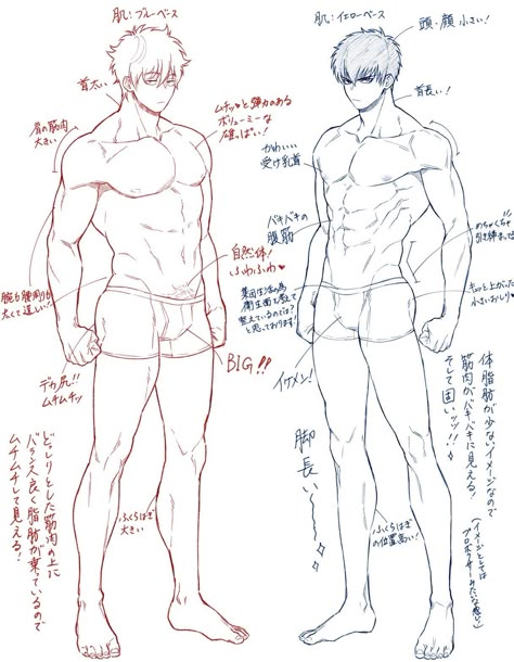 Male Art Reference, Human Anatomy Drawing, Body Drawing Tutorial, Images Kawaii, Human Anatomy Art, Body Reference Drawing, Sketches Tutorial, 캐릭터 드로잉, Concept Art Drawing