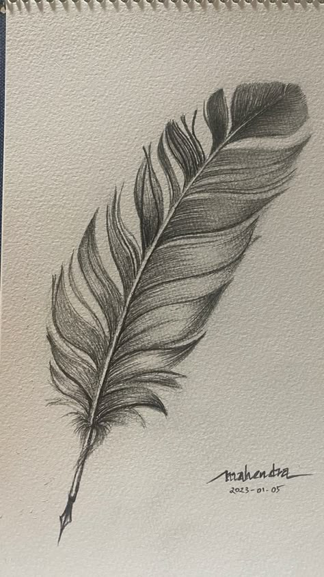 Feather Drawing Biro, Realistic Feather Drawing, Duck Feather Drawing, Bird Feather Painting, Drawing A Feather, Feather Sketch Pencil, Sketching Ideas Pencil Nature, Bird Feathers Drawing, Feather Texture Drawing