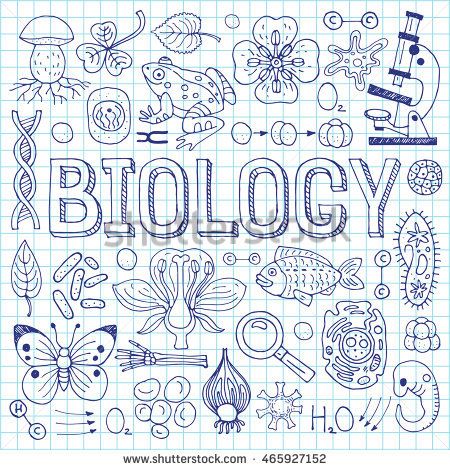 Biology Drawing Ideas Easy, Science Doodles Biology, Biology Doodle Art, Biology Art Draw, Exercise Book Design, Biology Doodles, Biology Background, Biology Logo, Cricut Apps