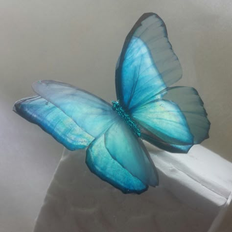 Rich light blue resin butterflies heading of to France to decorate a dress like in the movie "Cinderella" , So beautiful Like A G6, Cinderella Aesthetic, Galaxy Makeup, Cute Blue Wallpaper, Light Blue Aesthetic, Blue Butterflies, Blue Fairy, Iphone Photo App, Phone Themes