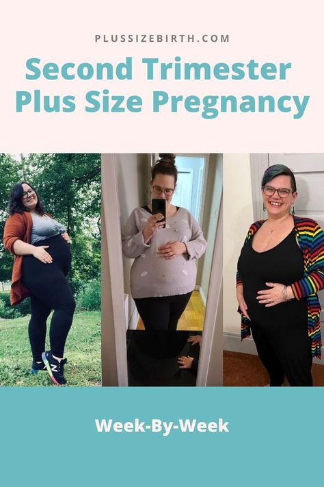 three plus size pregnant women during the second trimester Plus Size Pregnancy Belly Week By Week, Baby Size By Week, Plus Size Mom, Pregnancy Week, Pregnancy Labor, Trimesters Of Pregnancy, Second Trimester, Labor Delivery, Maternity Leave