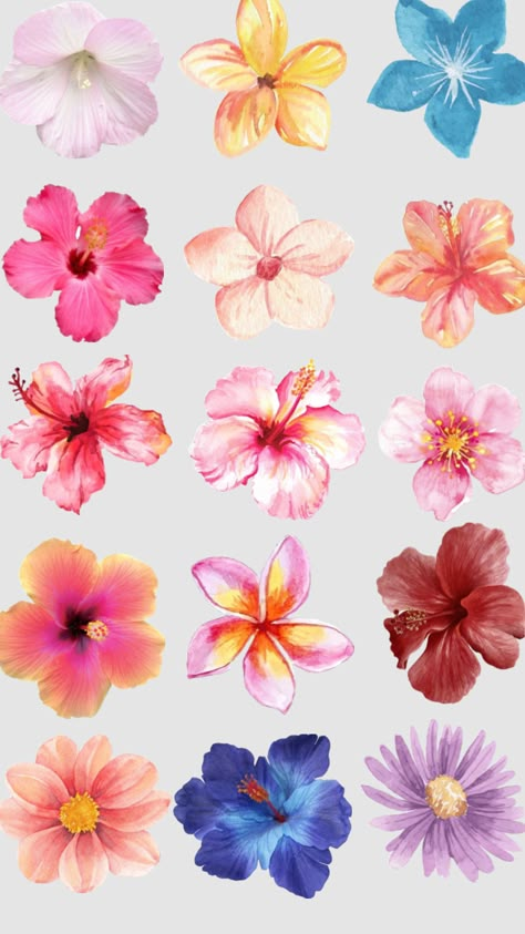 #flowers #drawings #aesthetic #wallpaper #cutouts Print Outs For Journal, Aesthetic Summer Flowers, Aesthetic Flower Drawing Wallpaper, Cut Outs For Collage, Flowers Collage Aesthetic, Journal Wallpaper Aesthetic, Flower Collage Aesthetic, Background Scrapbook Prints, Printable Stickers Flowers