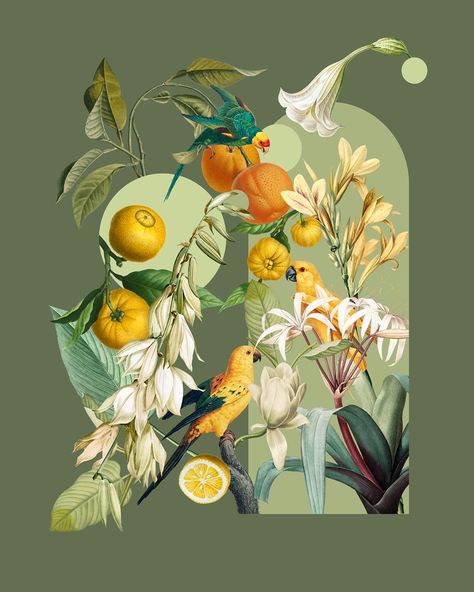 캐릭터 드로잉, Arte Inspo, Deco Floral, Arte Floral, Illustration Graphic Design, Graphic Design Adobe, Graphic Design Posters, Digital Collage, Botanical Illustration