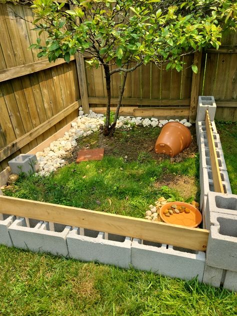 DIY easy & under $50 enclosure for our Tortise. The 8x6 area gives him more than enough room to explore & exercise. We used a planter as his "hut" & put some pine straw so he can "dig". For his water dish, just a cheap plant saucer did the job. Added some garden rock so he could climb. Turtle Garden Ideas, Greenhouse Tortoise Enclosure, Backyard Tortoise Habitat, Hermann Tortoise Outdoor Enclosure, Diy Box Turtle Habitat, Outdoor Russian Tortoise Enclosure, Land Turtle Habitat Ideas, Tortoise Enclosure Outdoor Diy, Diy Tortoise Habitat Outdoor