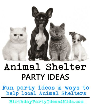 animal shelter party ideas for charity birthday Animal Rescue Party Ideas, Animal Fundraiser Ideas, Animal Rescue Booth Ideas, Birthday Fundraiser Ideas, Animal Rescue Birthday Party Ideas, Non Profit Fundraising Ideas Animal Rescue, Charity Birthday Party Ideas, Animal Rescue Birthday Party, Pet Rescue Birthday Party